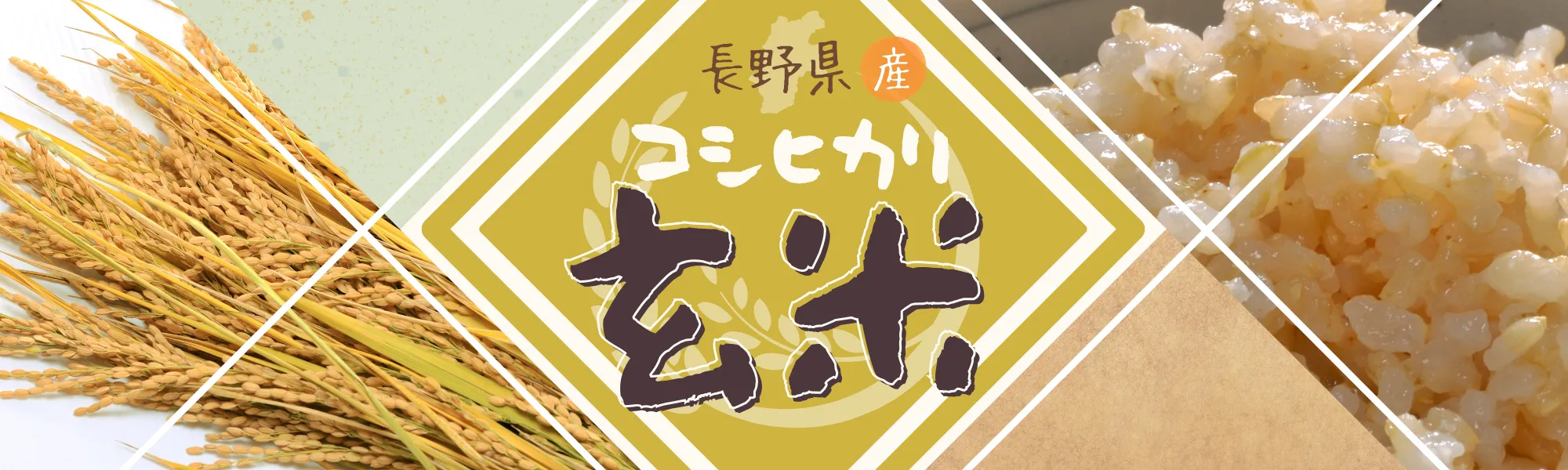 長野県産コシヒカリ玄米